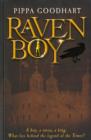 Image for Raven boy