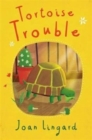 Image for Tortoise Trouble