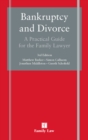 Image for Bankruptchy and divorce  : a practical guide for the family lawyer