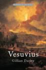 Image for Vesuvius  : the most famous volcano in the world