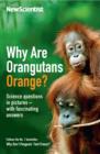 Image for Why are orangutans orange?  : science questions in pictures - with fascinating answers