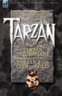 Image for Tarzan Volume Eight : Tarzan Triumphant &amp; Tarzan and the City of Gold