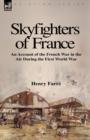 Image for Skyfighters of France