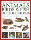 Image for The Animals, Birds &amp; Fish of British Isles, Complete Illustrated Guide to : A natural history and identification guide with over 440 native species from England, Ireland, Scotland and Wales, beautiful