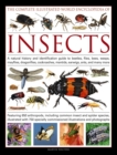Image for Complete Illustrated World Encyclopedia of Insects
