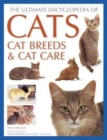 Image for Cats, Cat Breeds &amp; Cat Care, The Ultimate Encyclopedia of : A comprehensive visual guide