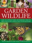 Image for Garden wildlife  : how to attract bees, butterflies, insects, birds, frogs and animals into your backyard