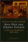 Image for Revolutionary Lawyers