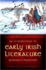Image for An introduction to early Irish literature