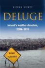 Image for Deluge  : Ireland&#39;s weather disasters, 2009-2010