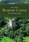 Image for Blarney Castle, Co. Cork: An Irish tower house