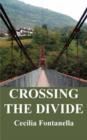Image for Crossing the Divide