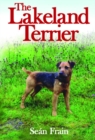 Image for Lakeland Terrier
