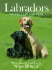 Image for Labradors