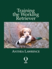 Image for Training the Working Retriever