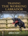 Image for Training the Working Labrador