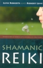 Image for Shamanic Reiki: expanded ways of working with universal life force energy