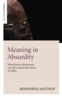 Image for Meaning in absurdity  : what bizarre phenomena can tell us about the nature of reality