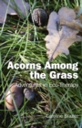Image for Acorns among the grass: adventures in eco-therapy