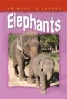 Image for Animals In Danger: Elephants