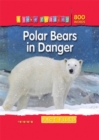 Image for Polar bears in danger