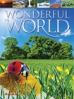 Image for Wonderful World