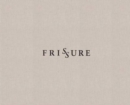 Image for Frissure  : prose poems and artworks