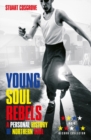 Image for Young soul rebels  : a personal history of northern soul