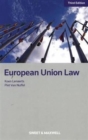 Image for Constitutional law of the European Union