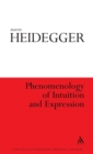 Image for Phenomenology of intuition and expression