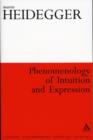 Image for Phenomenology of intuition and expression  : theory of philosophical concept formation