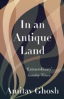 Image for In an antique land