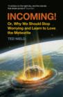 Image for Incoming! or, Why we should stop worrying and learn to love the meteorite
