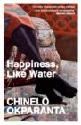 Image for Happiness, like water  : stories