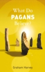 Image for What do Pagans believe?