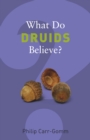 Image for What do Druids believe?