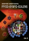 Image for Ffydd Bywyd Sialens - Addysg Grefyddol, Cyfnod Allweddol 3 (DVD)
