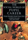 Image for The social world of pupil career: strategic biographies through primary school