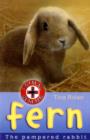 Image for Fern : The Pampered Rabbit