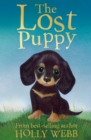 Image for The lost puppy
