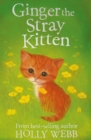 Image for Ginger the stray kitten