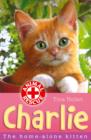 Image for Charlie the home-alone kitten