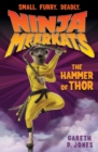 Image for The Hammer of Thor