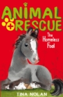 Image for The Homeless Foal