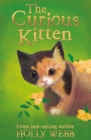 Image for The curious kitten