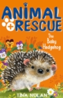 Image for The Baby Hedgehog