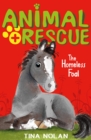 Image for The homeless foal