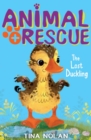 Image for The lost duckling