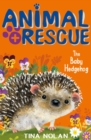 Image for The baby hedgehog