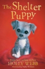 Image for The shelter puppy